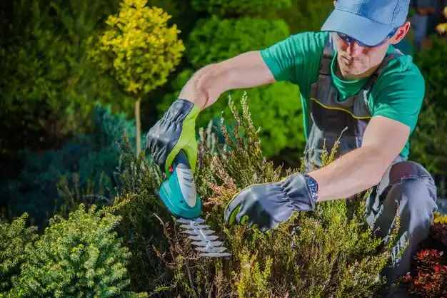landscaping services Beaver Crossing